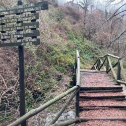 Associazione Ecomuseo della Montagna Pistoiese